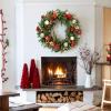 imageNervure 24 Inch Christmas Wreath Decorations  Christmas Door Wreath with Magnolia Flowers Pine Cone Christmas Ball Ornaments Apple and Berries for Front Door Home Wall Window Indoor Outdoor DecorGreen red gold