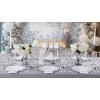 imageNervure 100PCS Clear and Gold Plastic Plates  1025Inch Gold Disposable Plates  Heavyweight Dinner Plate for Wedding ampamp Party ampamp ThanksgivingSilver
