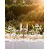 imageNervure 175PCS Black Plastic Plates  Disposable Black Gold Party Plates ampamp Pre Rolled Napkins with Cutlery for 25 Guests 50Plates 75Silverware 25Cups 25Napkin for Wedding ampamp Party ampamp New YearClear