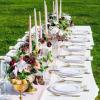 imageNervure 350PCS Silver Plastic Dinnerware  White and Silver Disposable Plates for 50 Guests  100 Disposable Plates 150 Plastic Silverware 50 Cups 50 Napkins for Wedding ampamp PartyGold